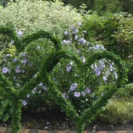 Landgasthof Zum Wiesengrund Pensionat 3*