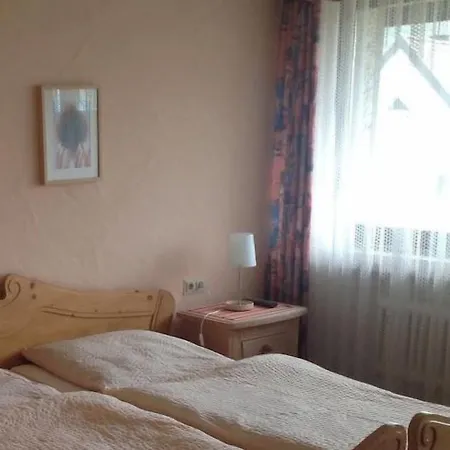 Pensionat Landgasthof Zum Wiesengrund 3*