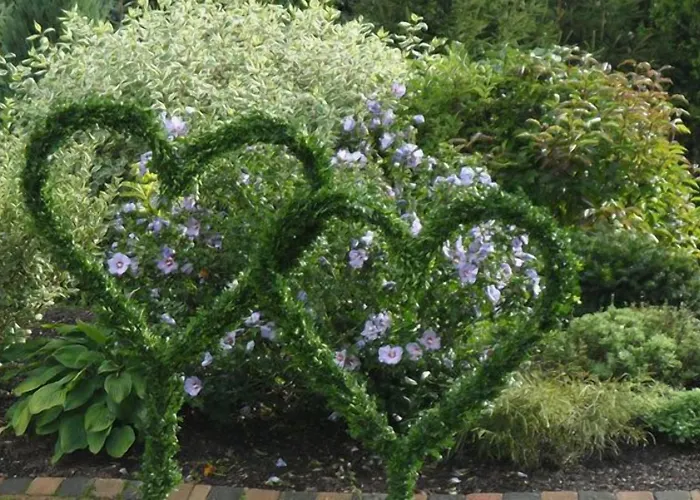 Landgasthof Zum Wiesengrund بيت ضيافة 3*